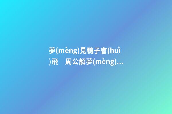 夢(mèng)見鴨子會(huì)飛　周公解夢(mèng)之夢(mèng)到鴨子會(huì)飛
